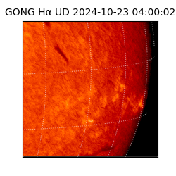 gong - 2024-10-23T04:00:02