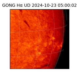 gong - 2024-10-23T05:00:02