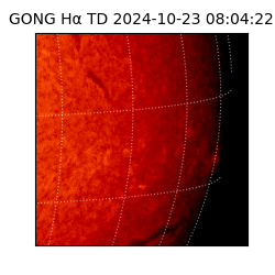 gong - 2024-10-23T08:04:22