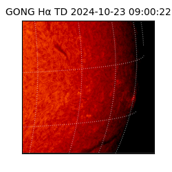 gong - 2024-10-23T09:00:22