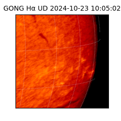 gong - 2024-10-23T10:05:02