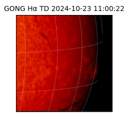 gong - 2024-10-23T11:00:22