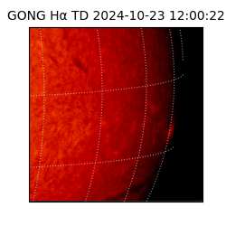 gong - 2024-10-23T12:00:22