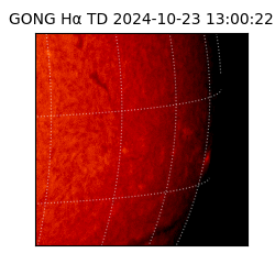 gong - 2024-10-23T13:00:22