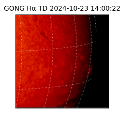 gong - 2024-10-23T14:00:22