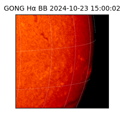 gong - 2024-10-23T15:00:02