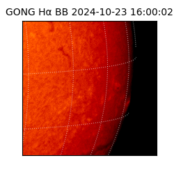 gong - 2024-10-23T16:00:02