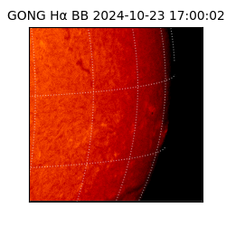 gong - 2024-10-23T17:00:02