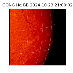 gong - 2024-10-23T21:00:02