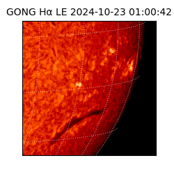 gong - 2024-10-23T01:00:42