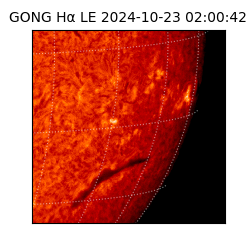 gong - 2024-10-23T02:00:42