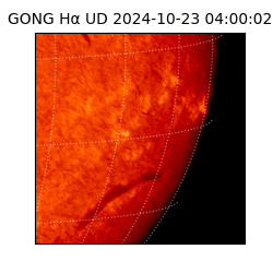 gong - 2024-10-23T04:00:02