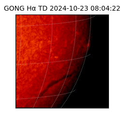 gong - 2024-10-23T08:04:22