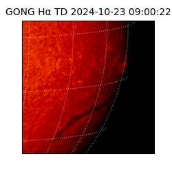gong - 2024-10-23T09:00:22