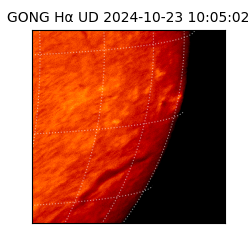 gong - 2024-10-23T10:05:02