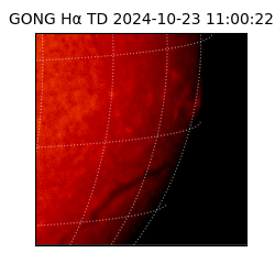 gong - 2024-10-23T11:00:22