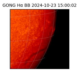 gong - 2024-10-23T15:00:02