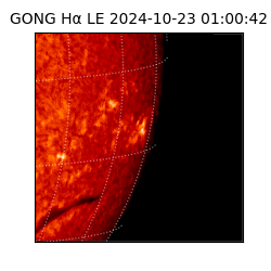 gong - 2024-10-23T01:00:42