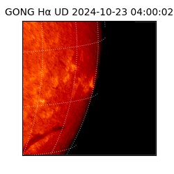 gong - 2024-10-23T04:00:02