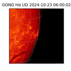 gong - 2024-10-23T06:00:02