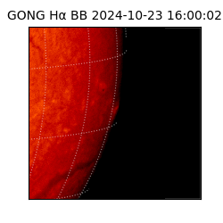 gong - 2024-10-23T16:00:02