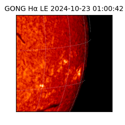 gong - 2024-10-23T01:00:42