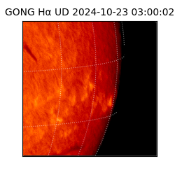 gong - 2024-10-23T03:00:02