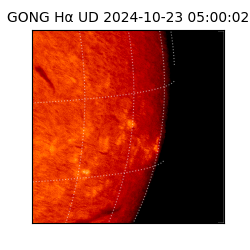 gong - 2024-10-23T05:00:02
