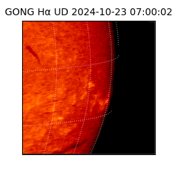 gong - 2024-10-23T07:00:02