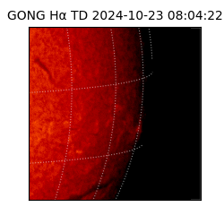 gong - 2024-10-23T08:04:22