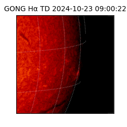 gong - 2024-10-23T09:00:22