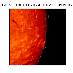 gong - 2024-10-23T10:05:02