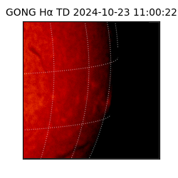 gong - 2024-10-23T11:00:22