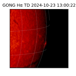 gong - 2024-10-23T13:00:22