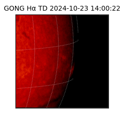 gong - 2024-10-23T14:00:22