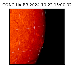 gong - 2024-10-23T15:00:02