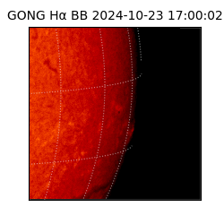 gong - 2024-10-23T17:00:02