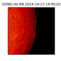 gong - 2024-10-23T19:00:02