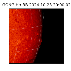 gong - 2024-10-23T20:00:02