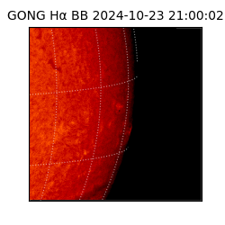 gong - 2024-10-23T21:00:02