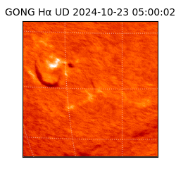 gong - 2024-10-23T05:00:02