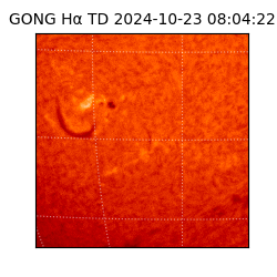 gong - 2024-10-23T08:04:22