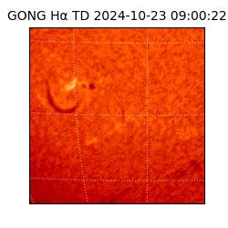 gong - 2024-10-23T09:00:22