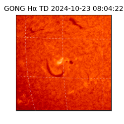 gong - 2024-10-23T08:04:22