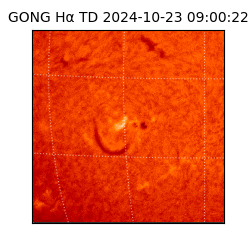 gong - 2024-10-23T09:00:22