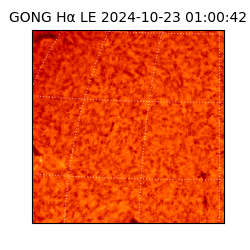 gong - 2024-10-23T01:00:42