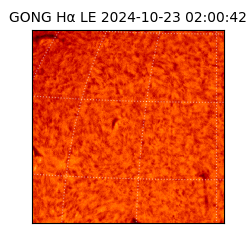 gong - 2024-10-23T02:00:42