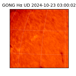 gong - 2024-10-23T03:00:02