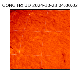 gong - 2024-10-23T04:00:02