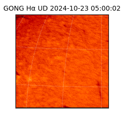 gong - 2024-10-23T05:00:02